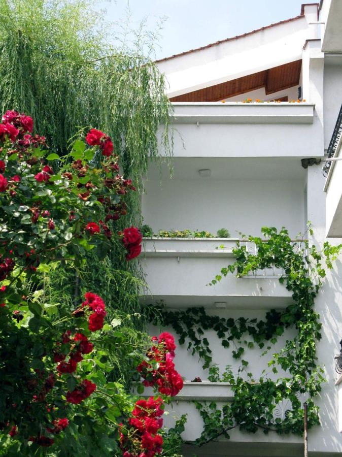 Guest House Barbov Obzor Eksteriør bilde