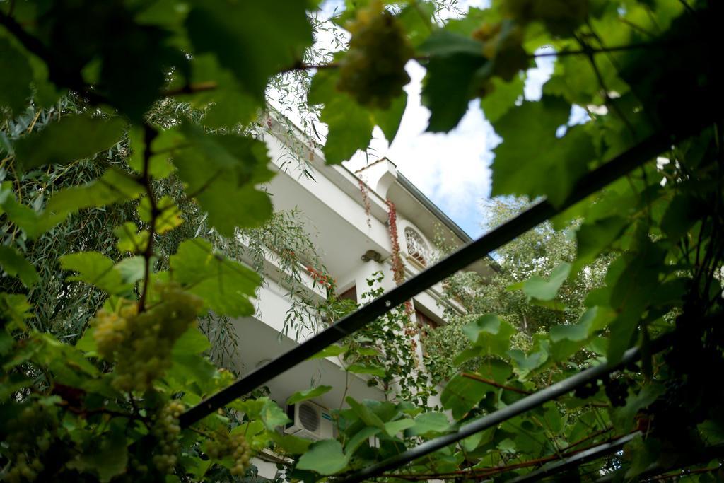 Guest House Barbov Obzor Eksteriør bilde